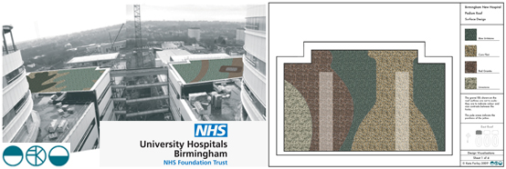 KF Birmingham QE Hospital commission